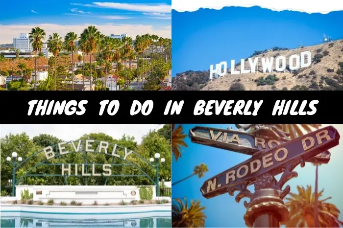 Best Things to Do in Beverly Hills: Glamour, Culture & Charm