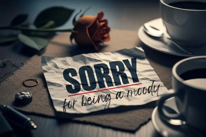 55+ Sorry Messages for Being Moody with Loved Ones