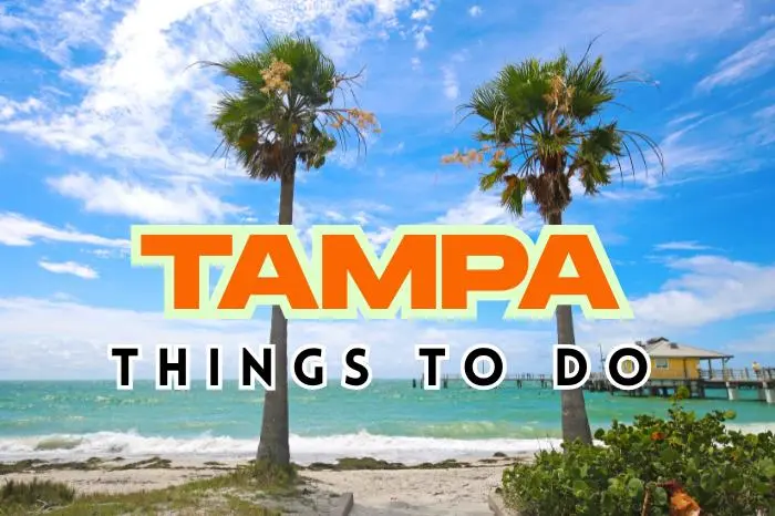 Discover 35+ Top Things to Do in Tampa From Beaches to Breweries